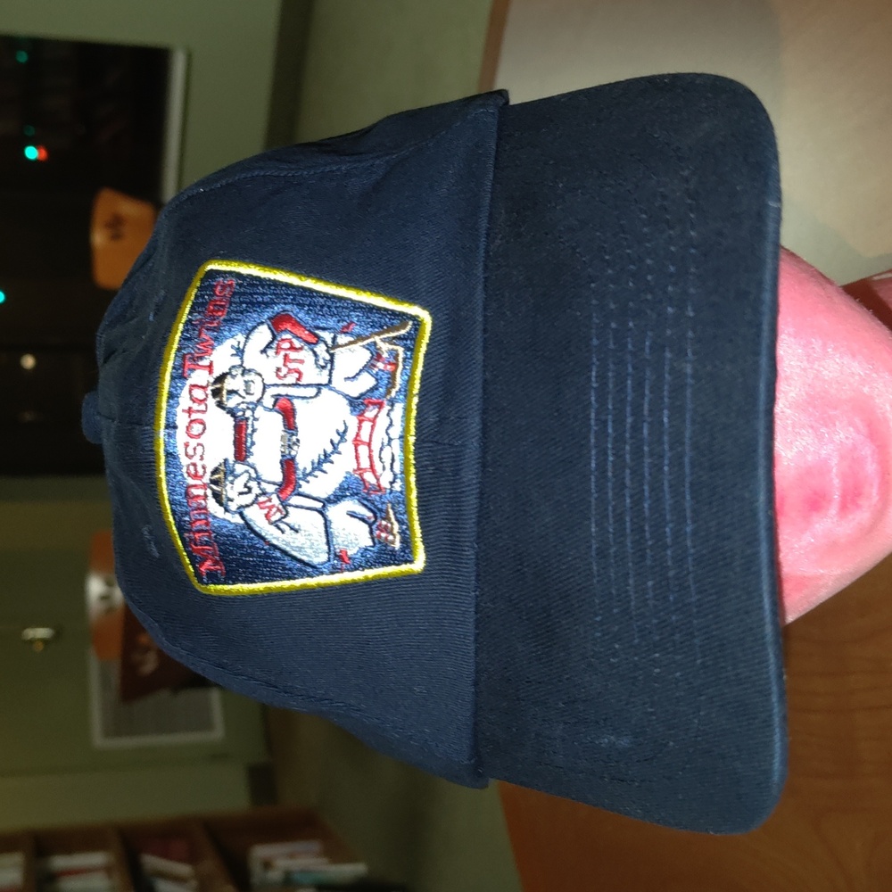 MLB Minnesota Twins Embroidered Logo 2014 Diary Queen Strap-on Hat Cap